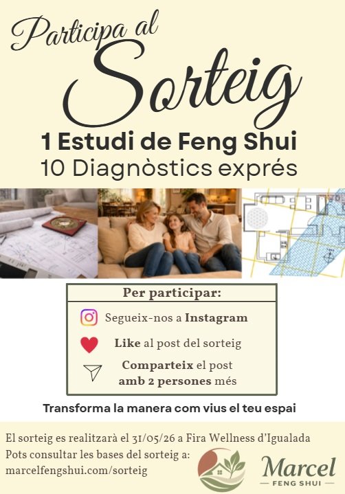 Sorteig estudi feng shui